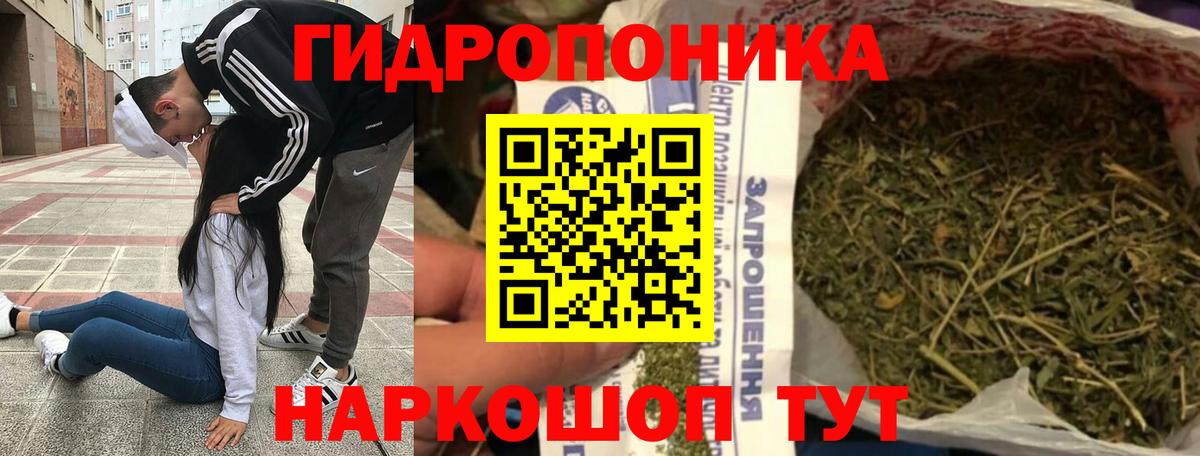 МАРИХУАНА ГИДРОПОН  Вход с VPN  Саранск  МАРИХУАНА THC 21%  Канабис SATIVA & INDICA 